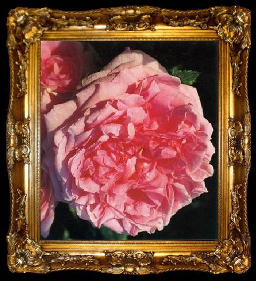 framed  unknow artist Still life floral, all kinds of reality flowers oil painting  341, ta009-2